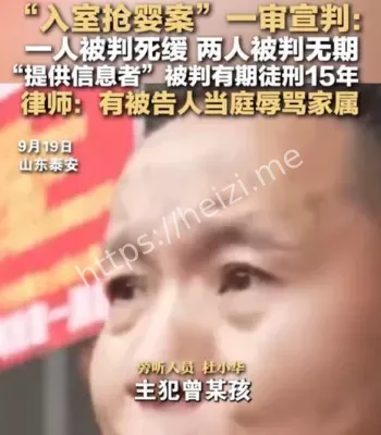 抢婴案主犯